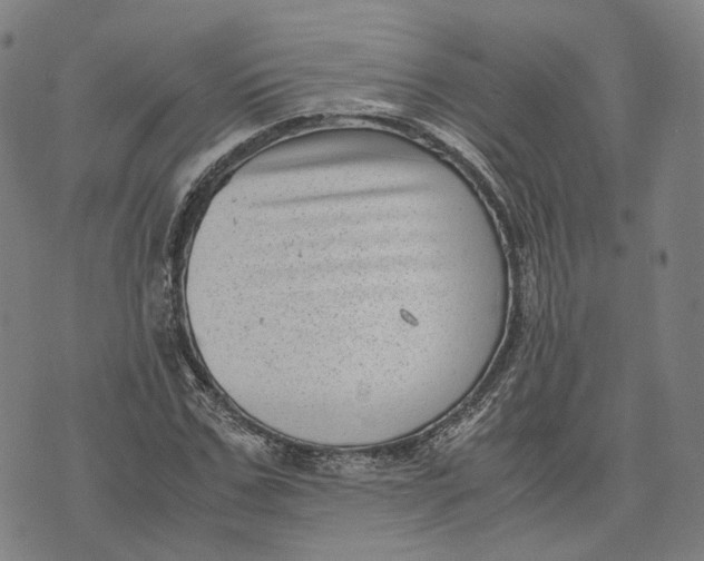 X0000071780971200607211553