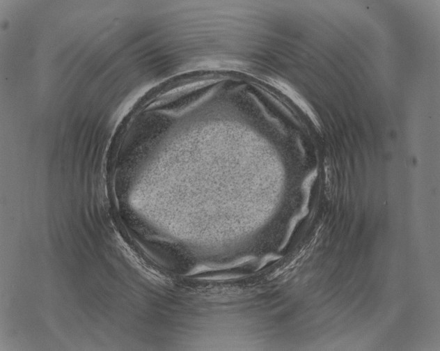 X0000071780972200607211553