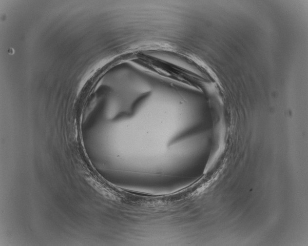 X0000071780973200607211553