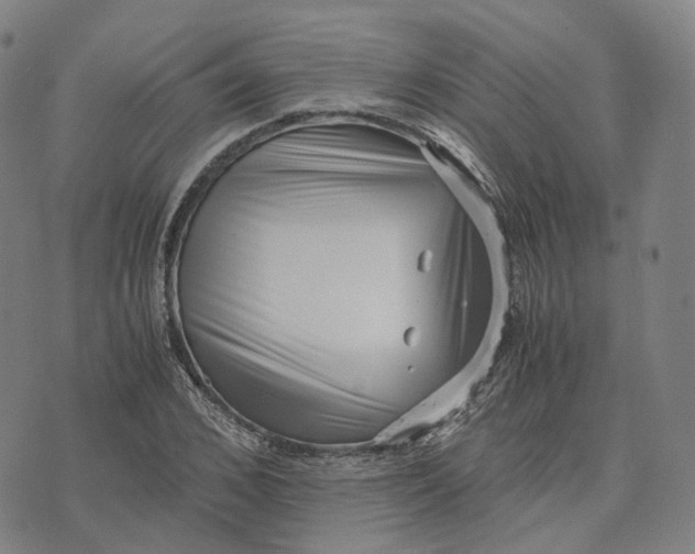 X0000071780976200607211552