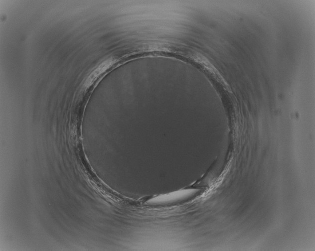 X0000071780977200607211552