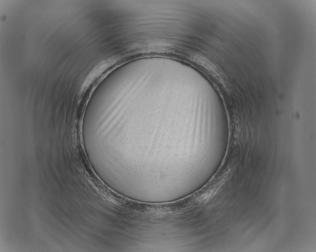 X0000071780978200607211552