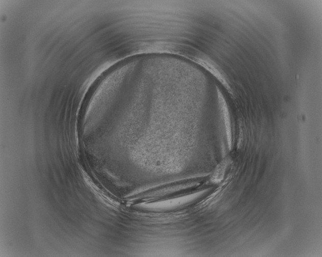 X0000071780980200607211552