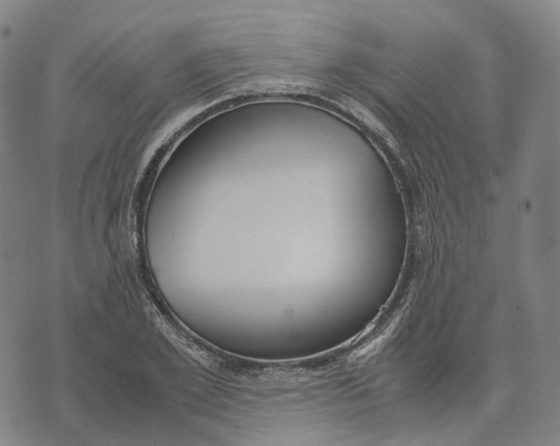 X0000071780981200607211552