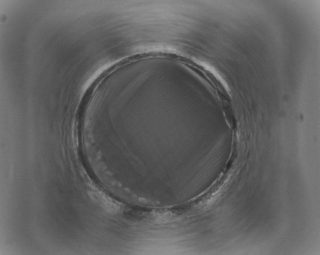 X0000071780983200607211552