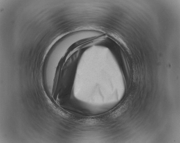 X0000071780984200607211552