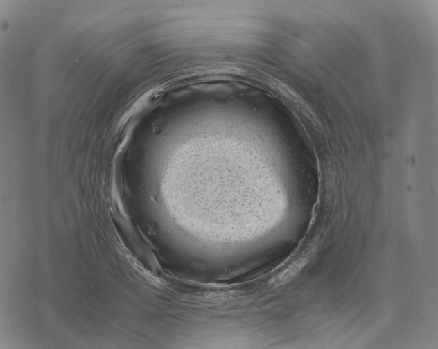 X0000071780985200607211552