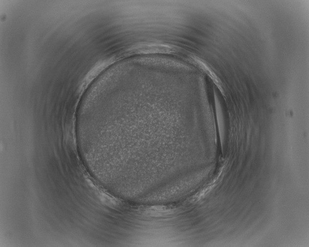 X0000071780986200607211552