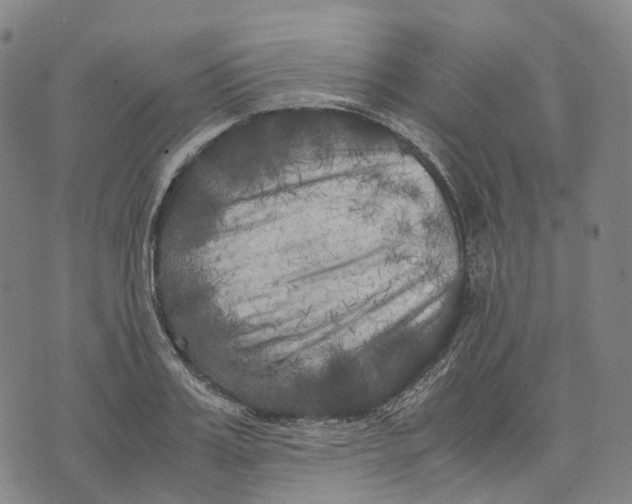 X0000071780987200607211552