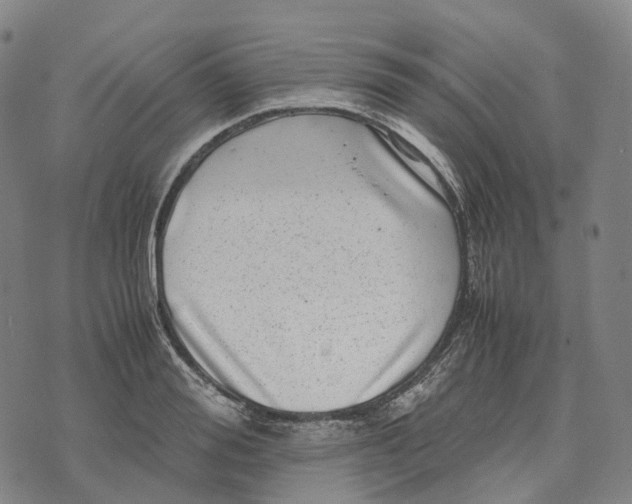 X0000071780988200607211552