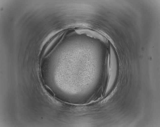 X0000071780989200607211552