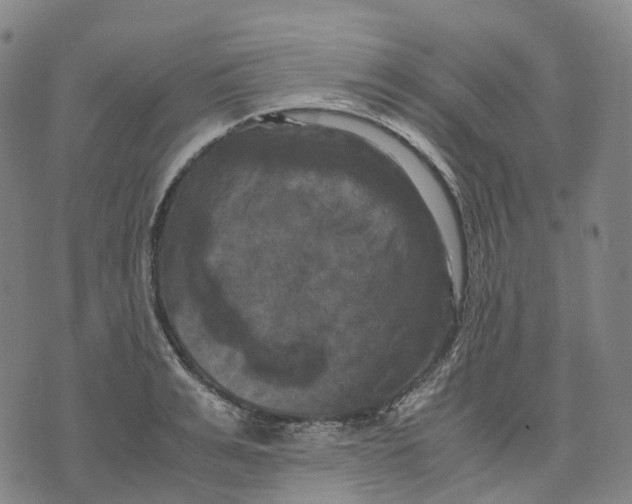 X0000071780991200607211552