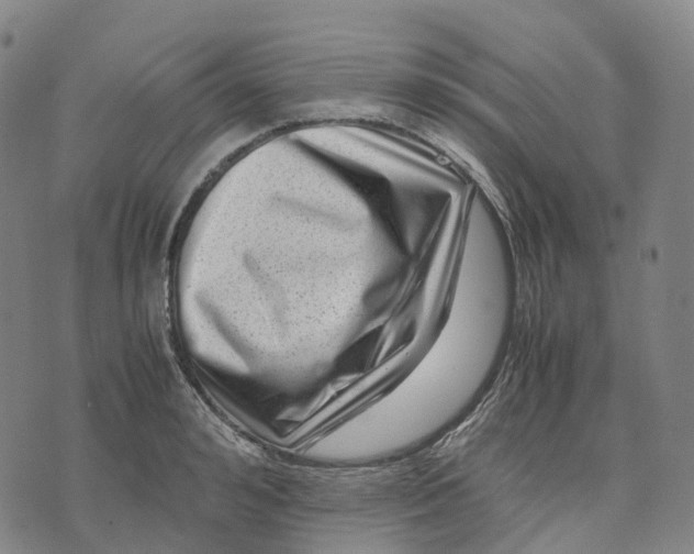 X0000071780992200607211552