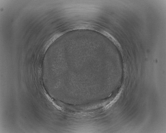 X0000071780993200607211552