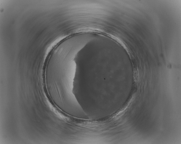 X0000071780995200607211552