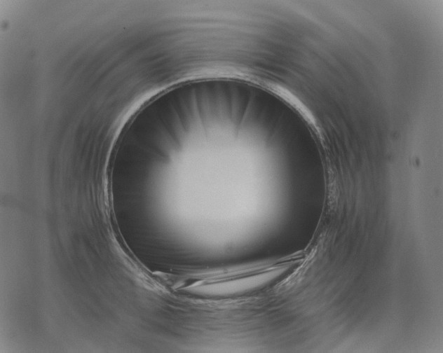 X0000071780996200607211552