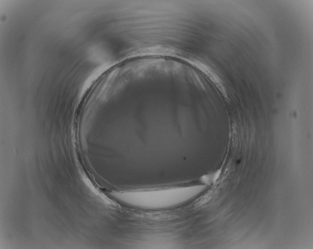 X0000071780998200607211552