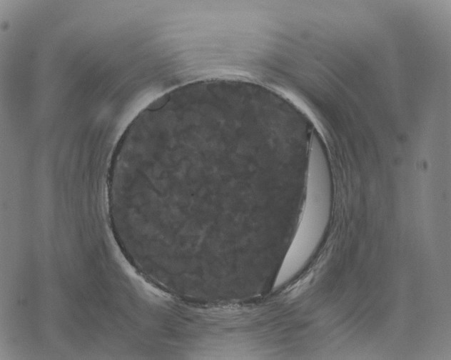 X0000071780999200607211552