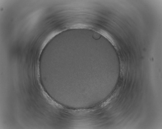 X0000071781000200607211552