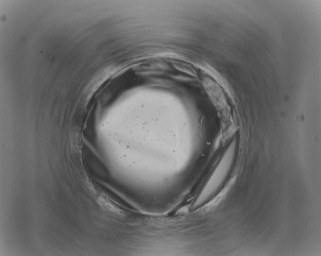 X0000071781001200607211552