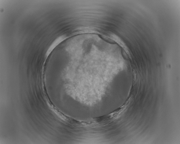 X0000071781002200607211552