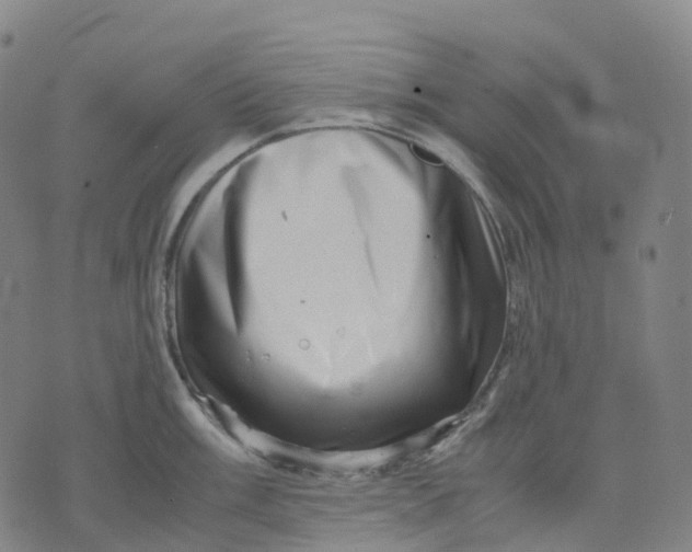 X0000071781003200607211552