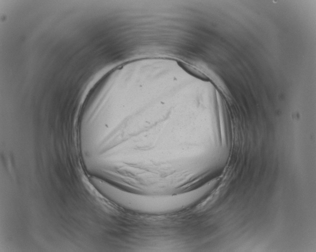 X0000071781004200607211552