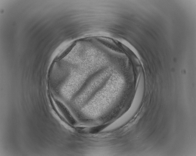 X0000071781005200607211552