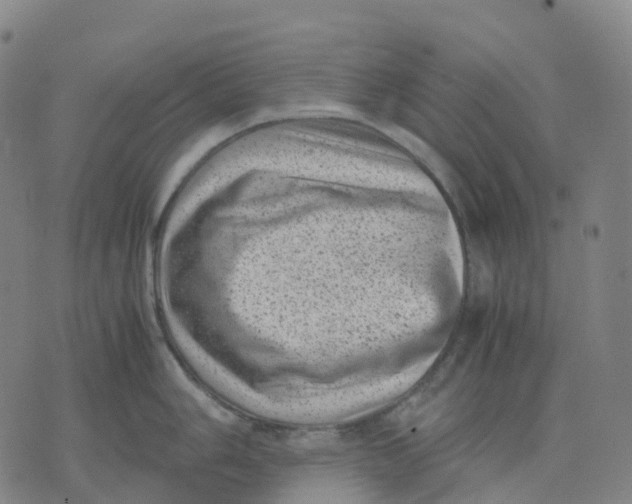 X0000071781006200607211552