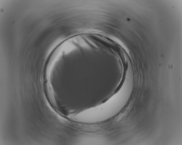 X0000071781007200607211552