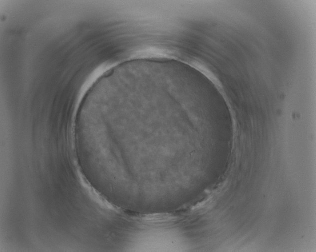 X0000071781008200607211552