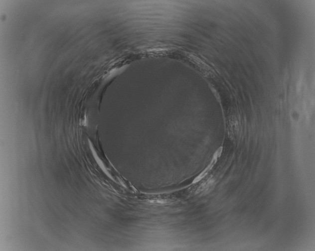 X0000071781010200607211551