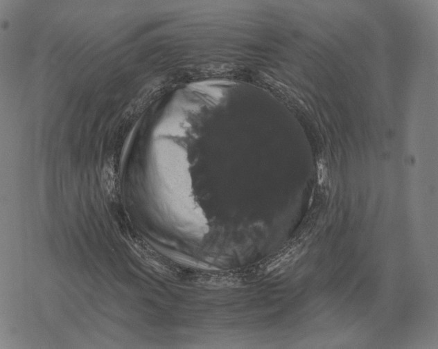 X0000071781011200607211551