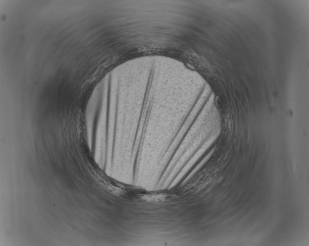 X0000071781012200607211551