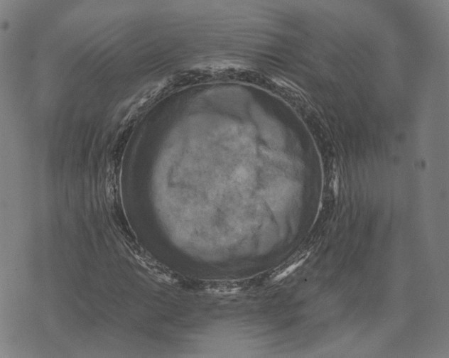 X0000071781014200607211551