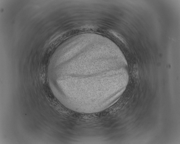 X0000071781015200607211551