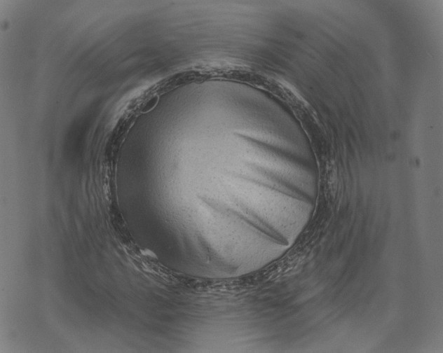 X0000071781016200607211551