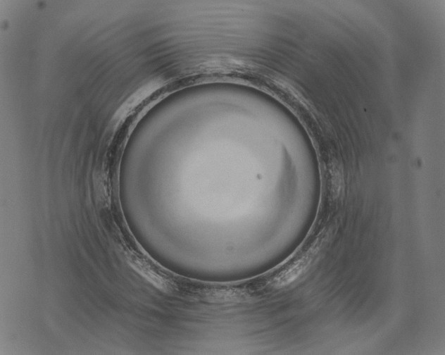 X0000071781018200607211551