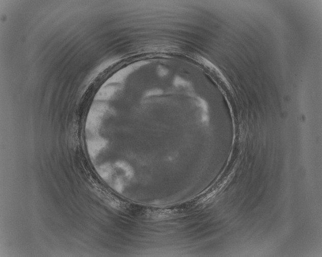 X0000071781019200607211551