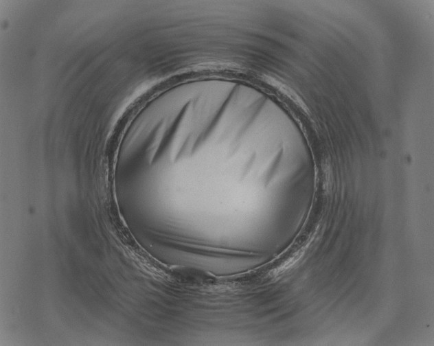 X0000071781021200607211551