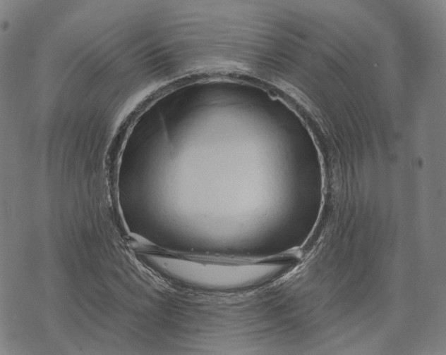 X0000071781022200607211551