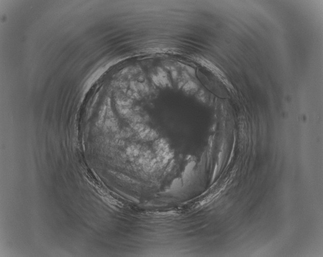 X0000071781023200607211551