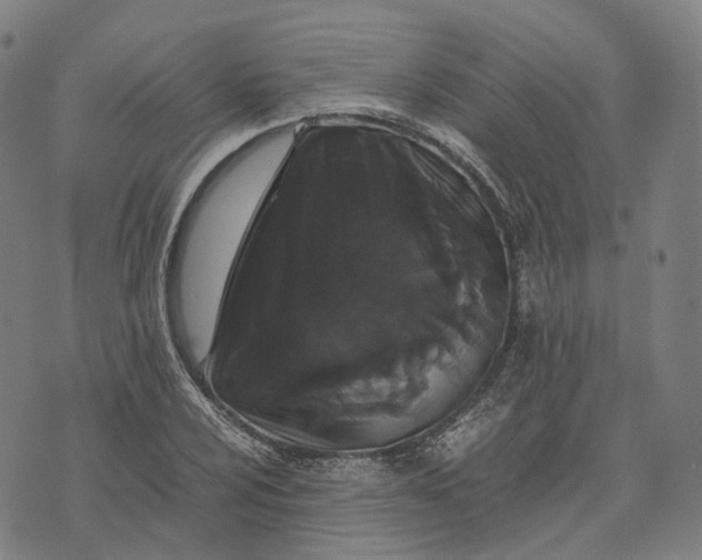 X0000071781024200607211551