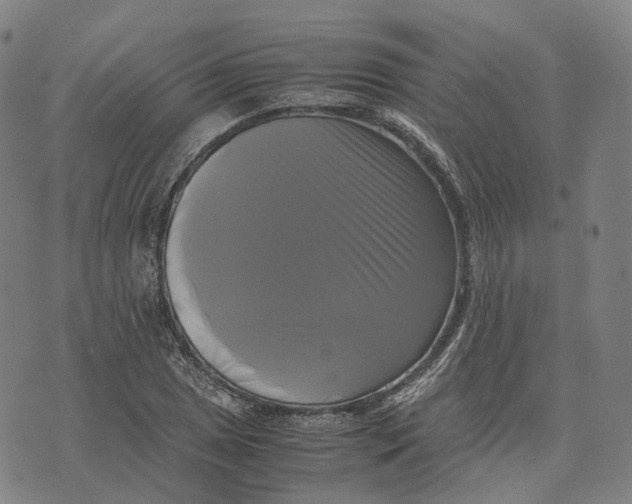 X0000071781025200607211551