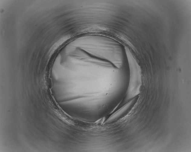 X0000071781026200607211551