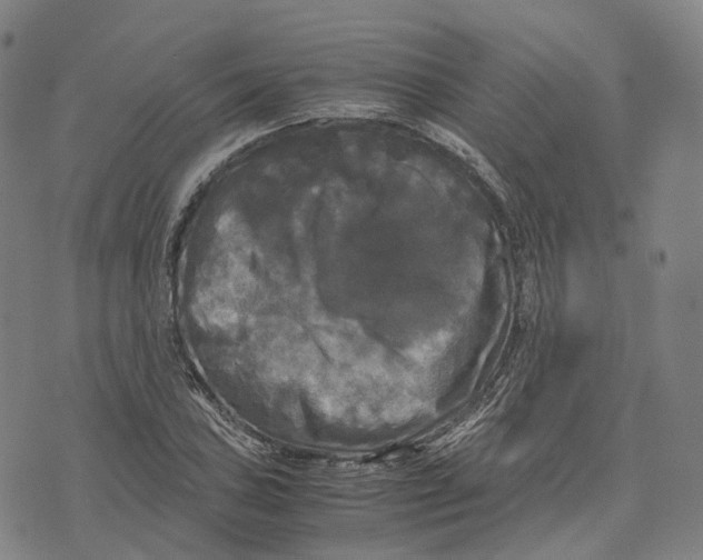 X0000071781027200607211551