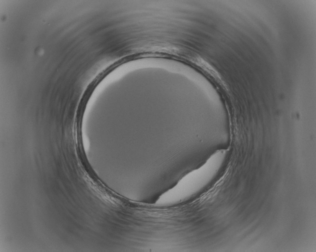 X0000071781028200607211552