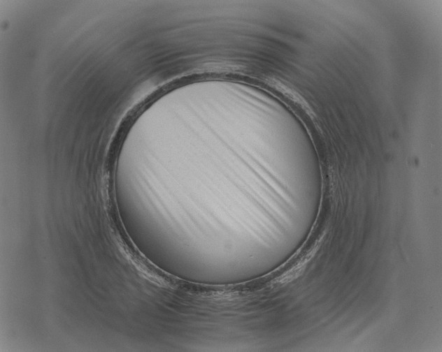 X0000071781029200607211552