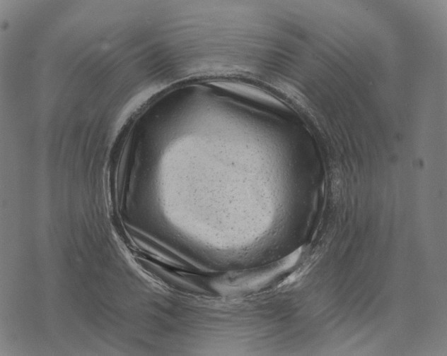 X0000071781030200607211552