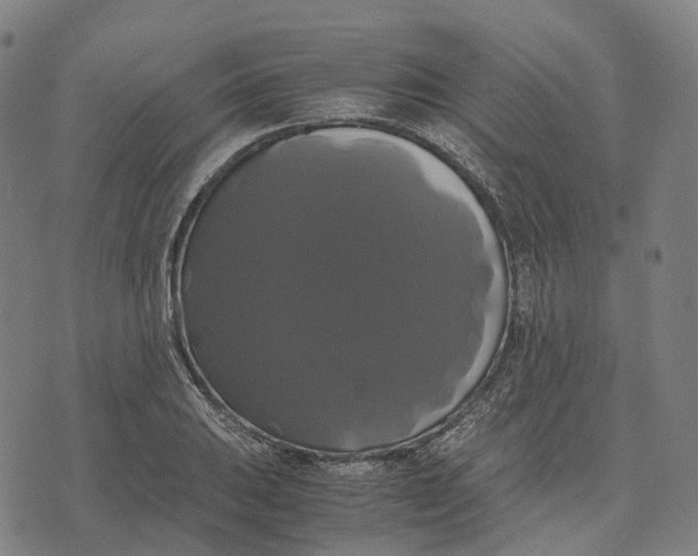 X0000071781031200607211552